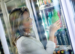 Door Closer (Springs)